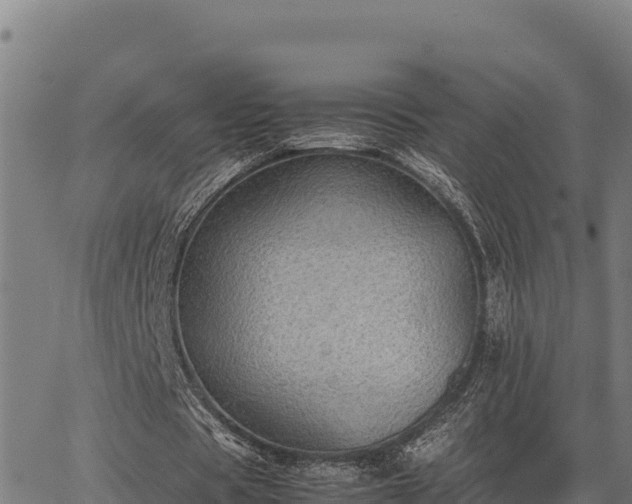 X0000067000529200603311616