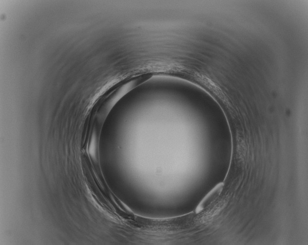 X0000067000530200603311617