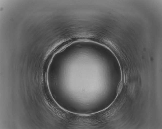 X0000067000531200603311617