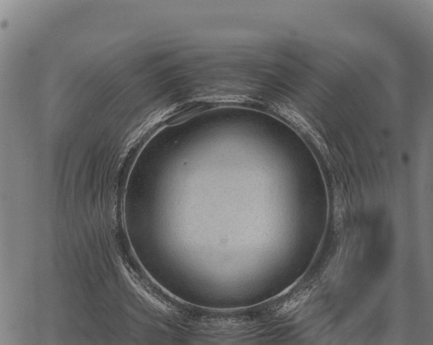 X0000067000533200603311617