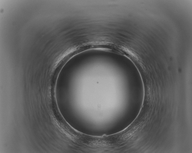 X0000067000535200603311617