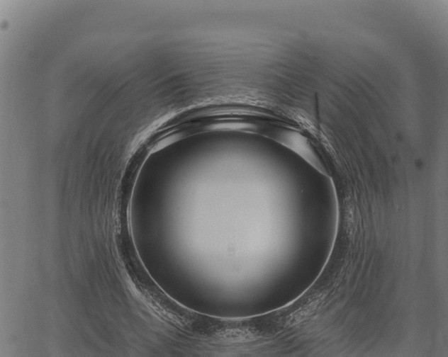 X0000067000536200603311617