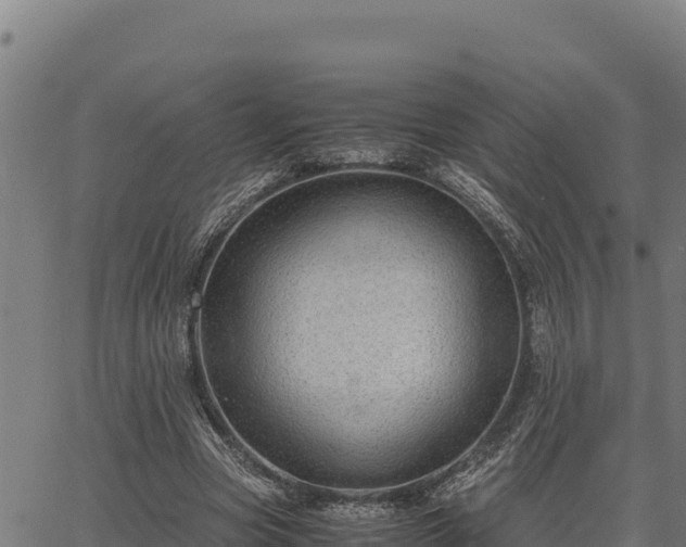 X0000067000537200603311617