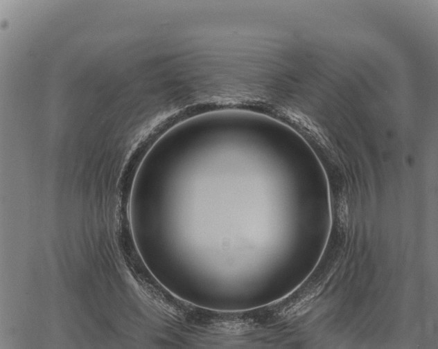 X0000067000540200603311617