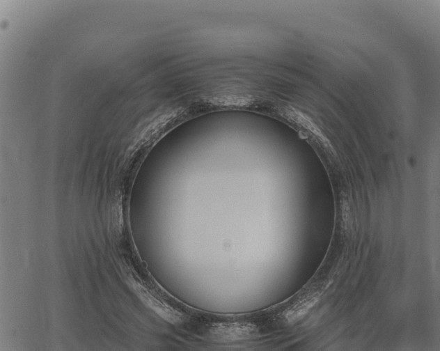 X0000067000541200603311617