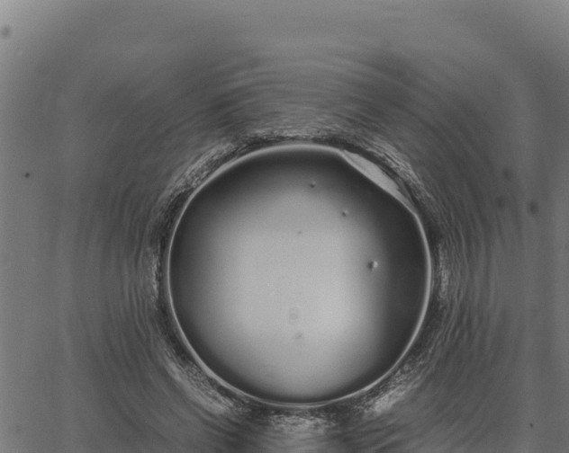 X0000067000542200603311617