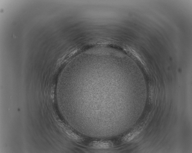 X0000067000545200603311617