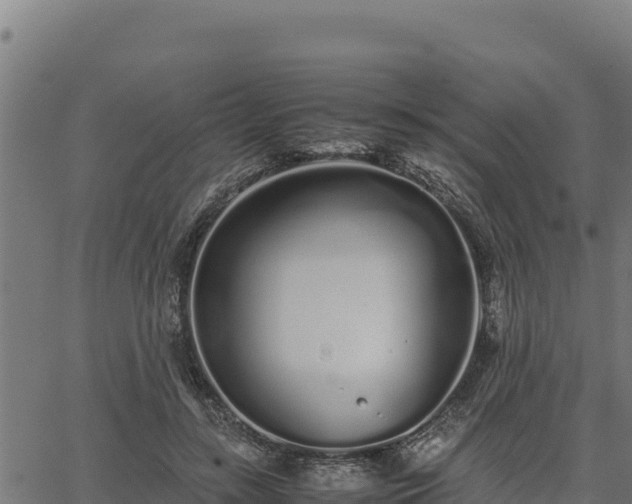 X0000067000547200603311617