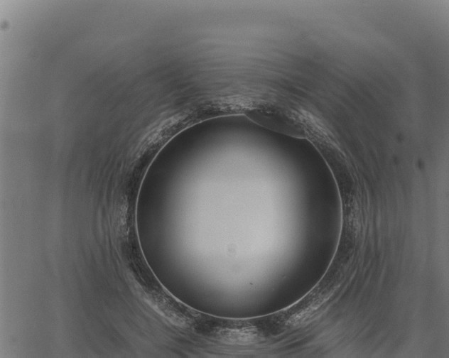 X0000067000548200603311617