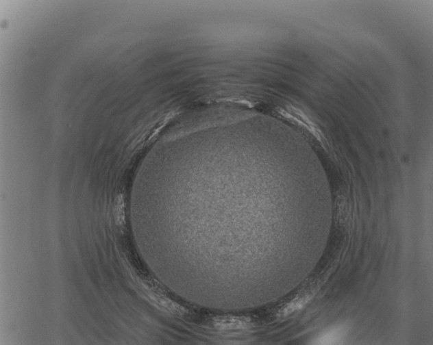 X0000067000549200603311617