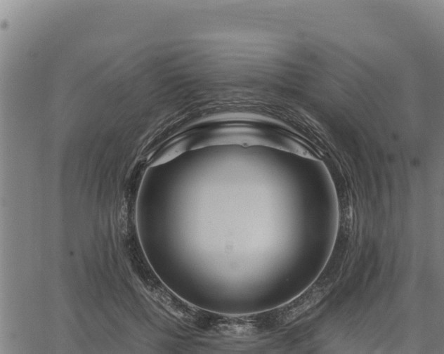 X0000067000552200603311617