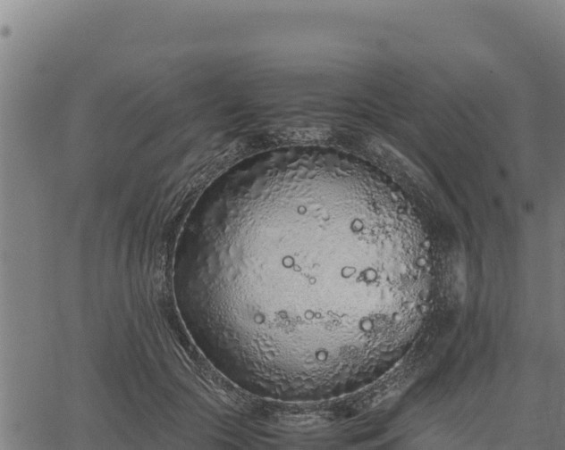 X0000067000553200603311617