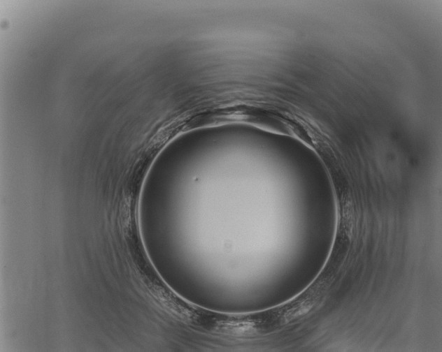 X0000067000554200603311617