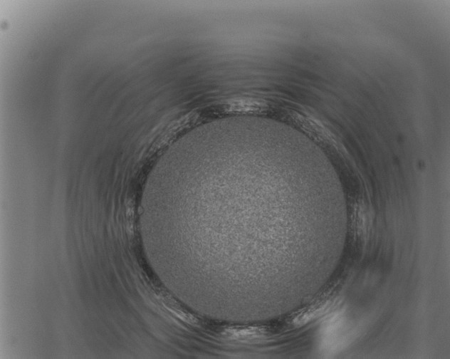 X0000067000557200603311617