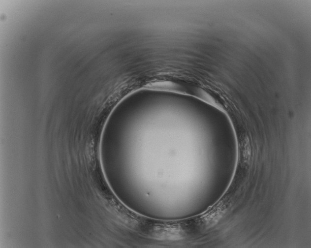 X0000067000559200603311617