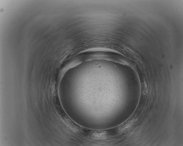 X0000067000560200603311617