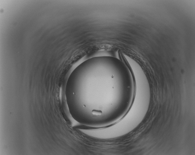 X0000067000561200603311617