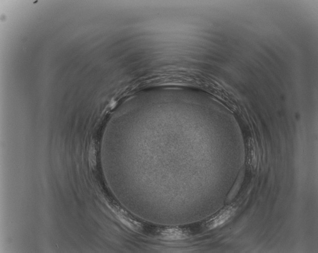 X0000067000562200603311617