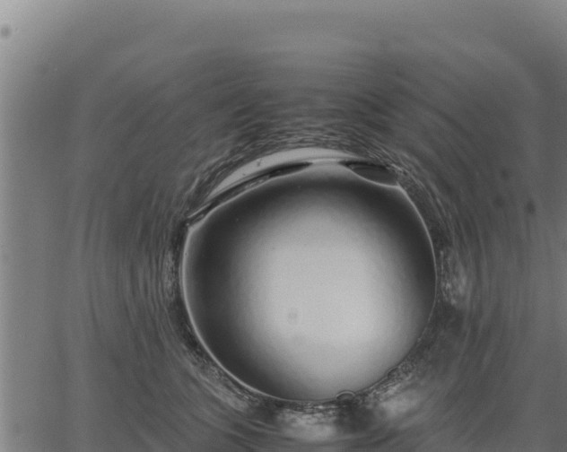 X0000067000563200603311617