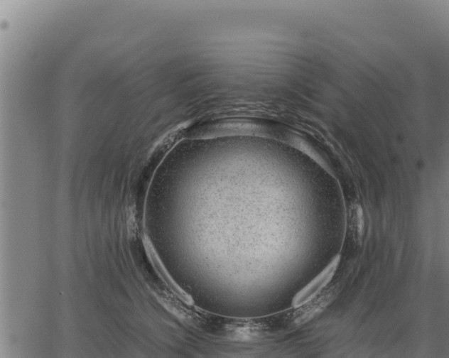 X0000067000564200603311617