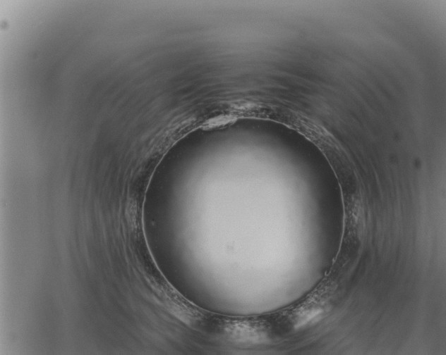 X0000067000565200603311617