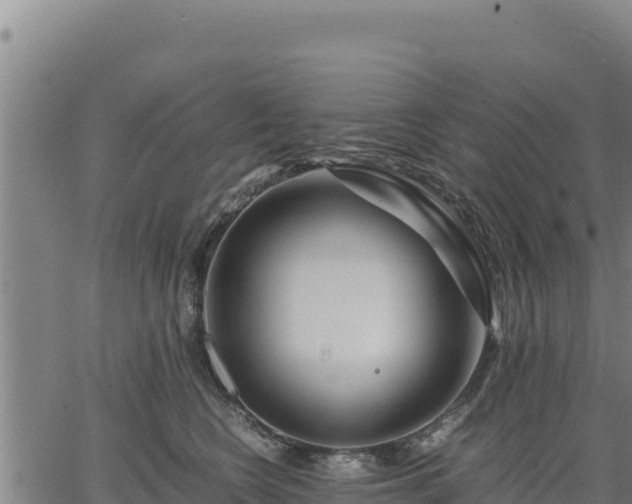 X0000067000566200603311617