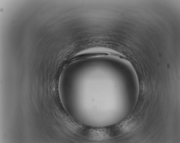 X0000067000567200603311617