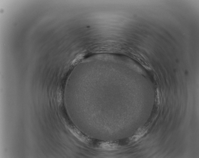 X0000067000568200603311617