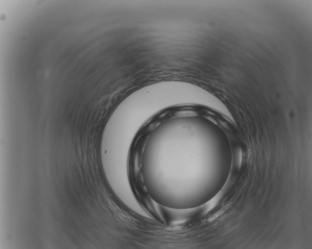 X0000067000570200603311617