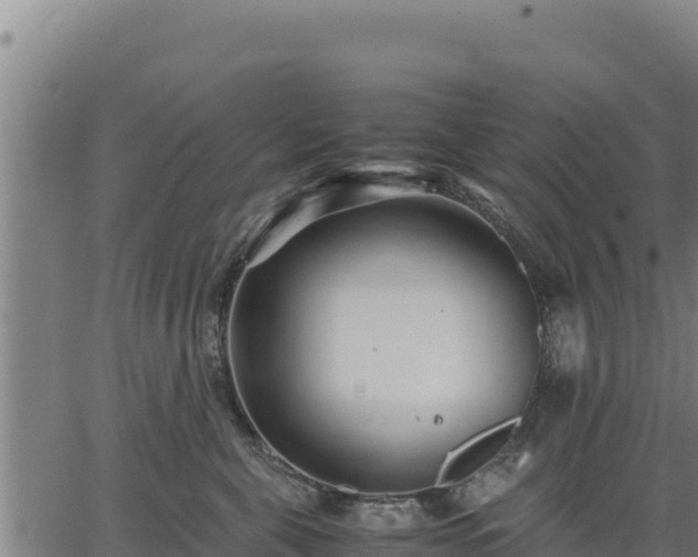 X0000067000571200603311617