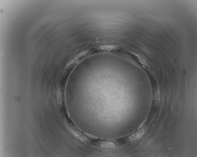 X0000067000572200603311617