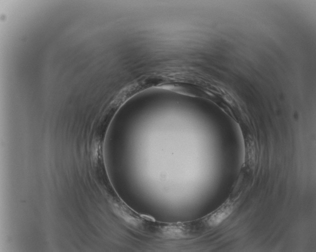 X0000067000574200603311617