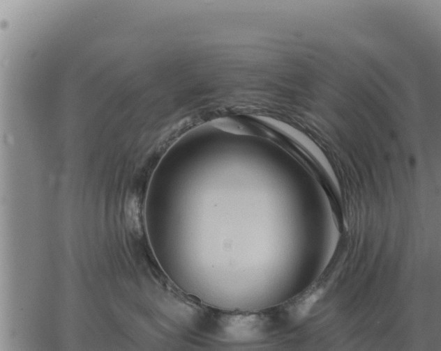 X0000067000575200603311617