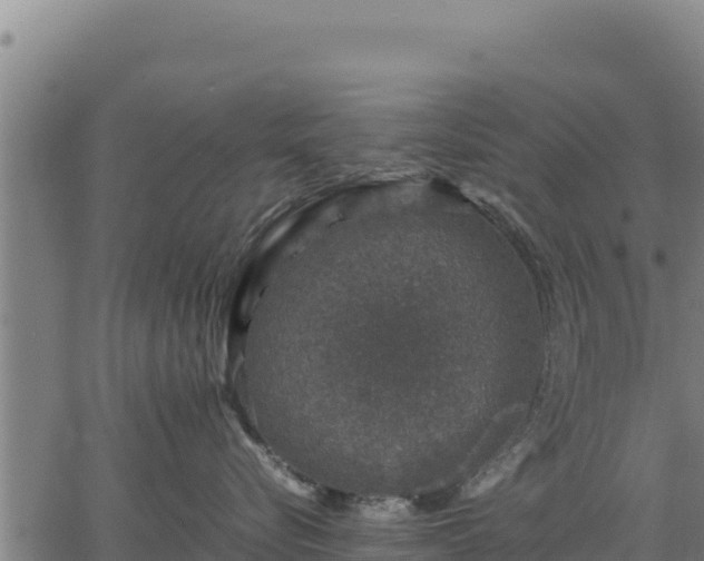 X0000067000576200603311617