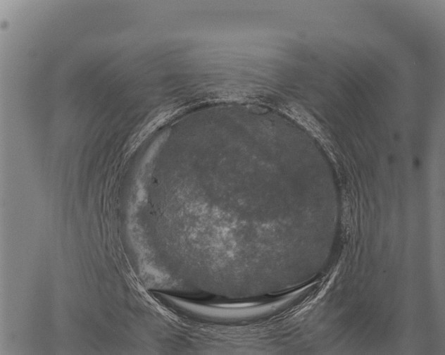 X0000067000577200603311616