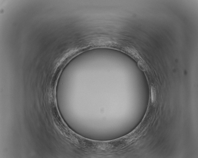 X0000067000579200603311616