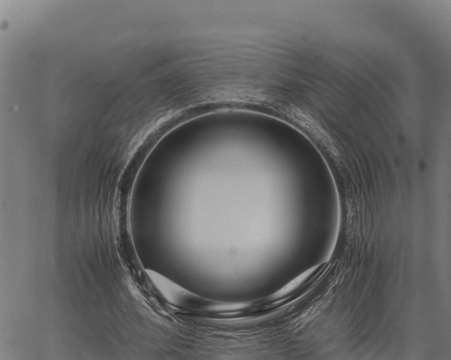 X0000067000580200603311616