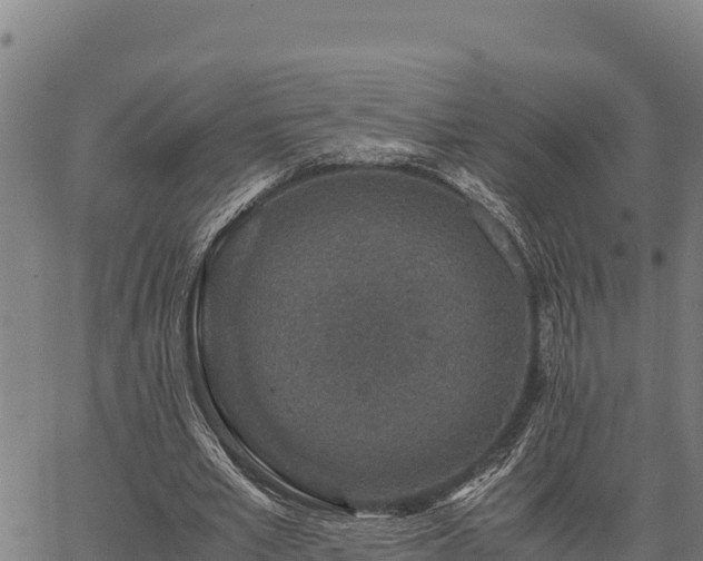 X0000067000581200603311616