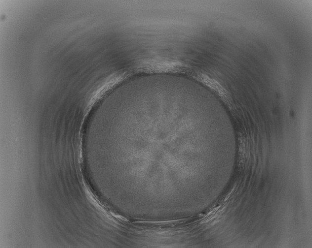 X0000067000582200603311616