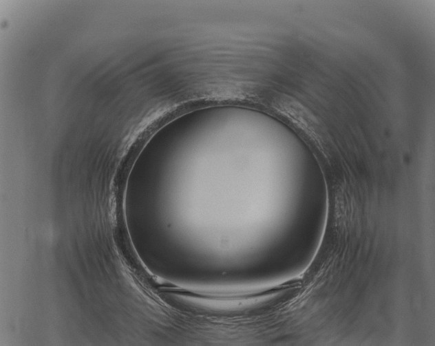 X0000067000584200603311616