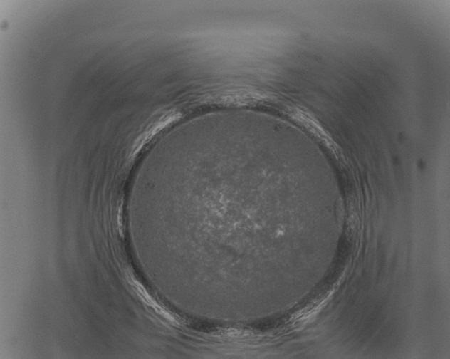 X0000067000585200603311616