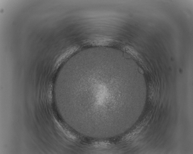 X0000067000586200603311616