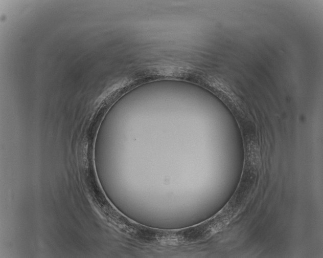 X0000067000587200603311616