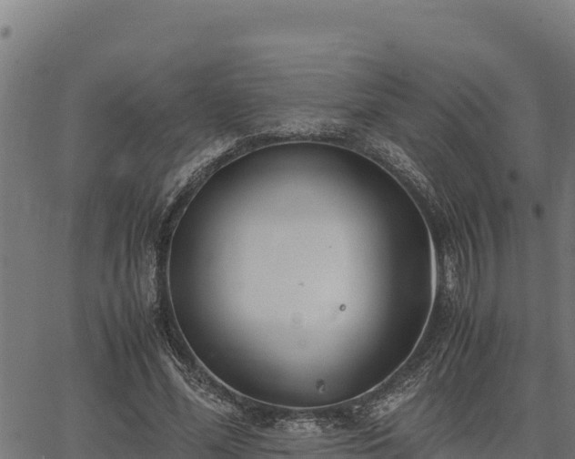 X0000067000588200603311616