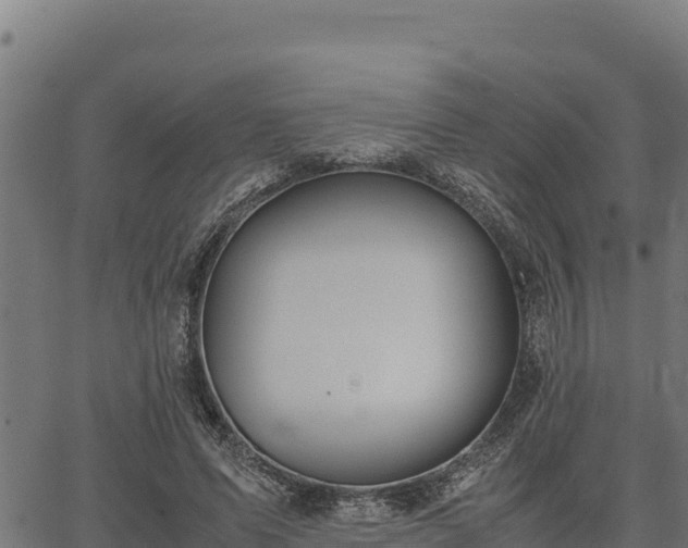 X0000067000591200603311616