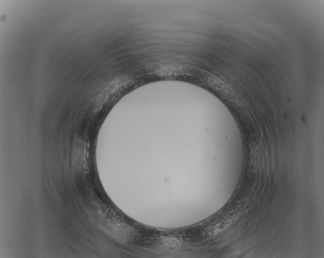 X0000067000592200603311616