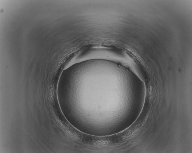 X0000067000593200603311616