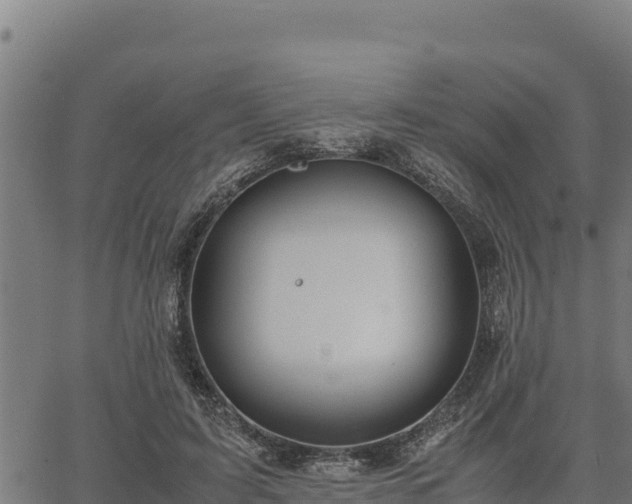 X0000067000595200603311616