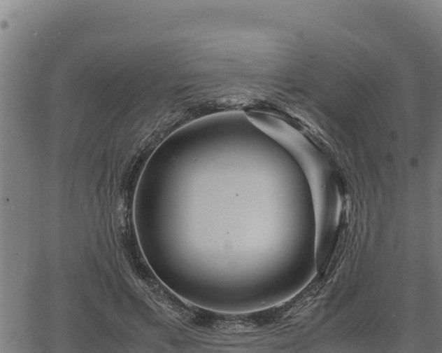 X0000067000597200603311616