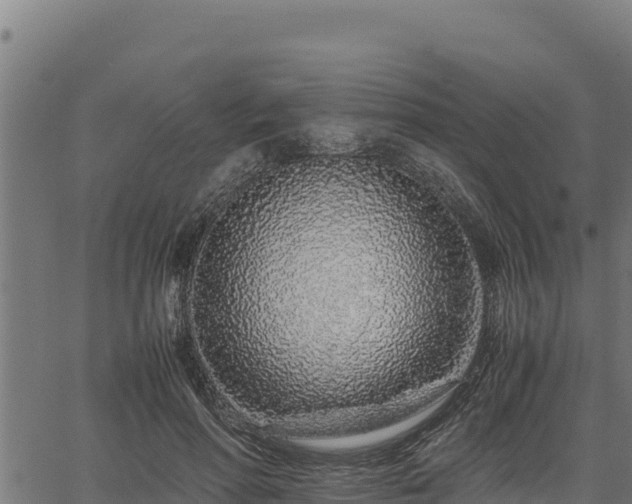 X0000067000598200603311616